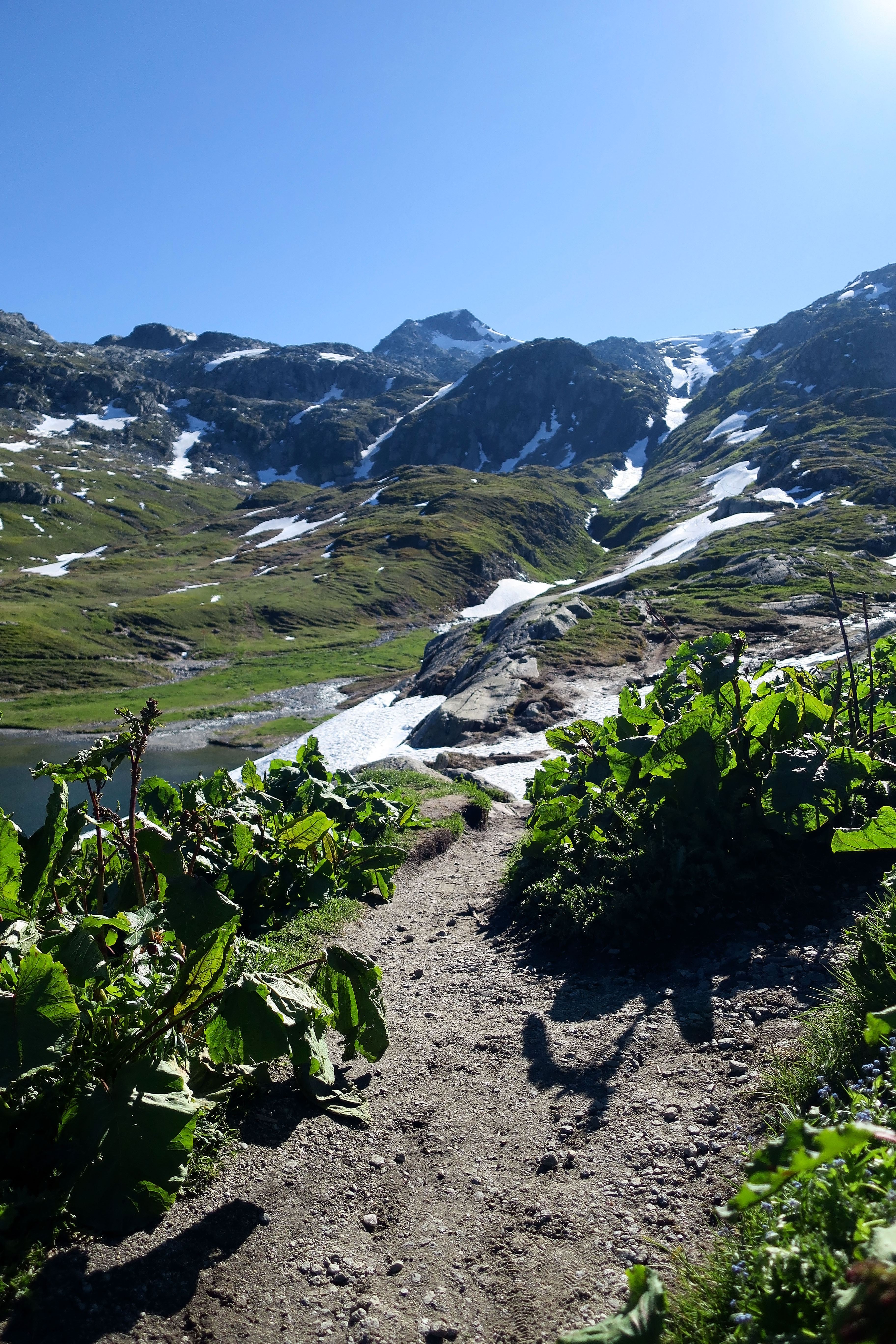 Etappe 2, Grimsel