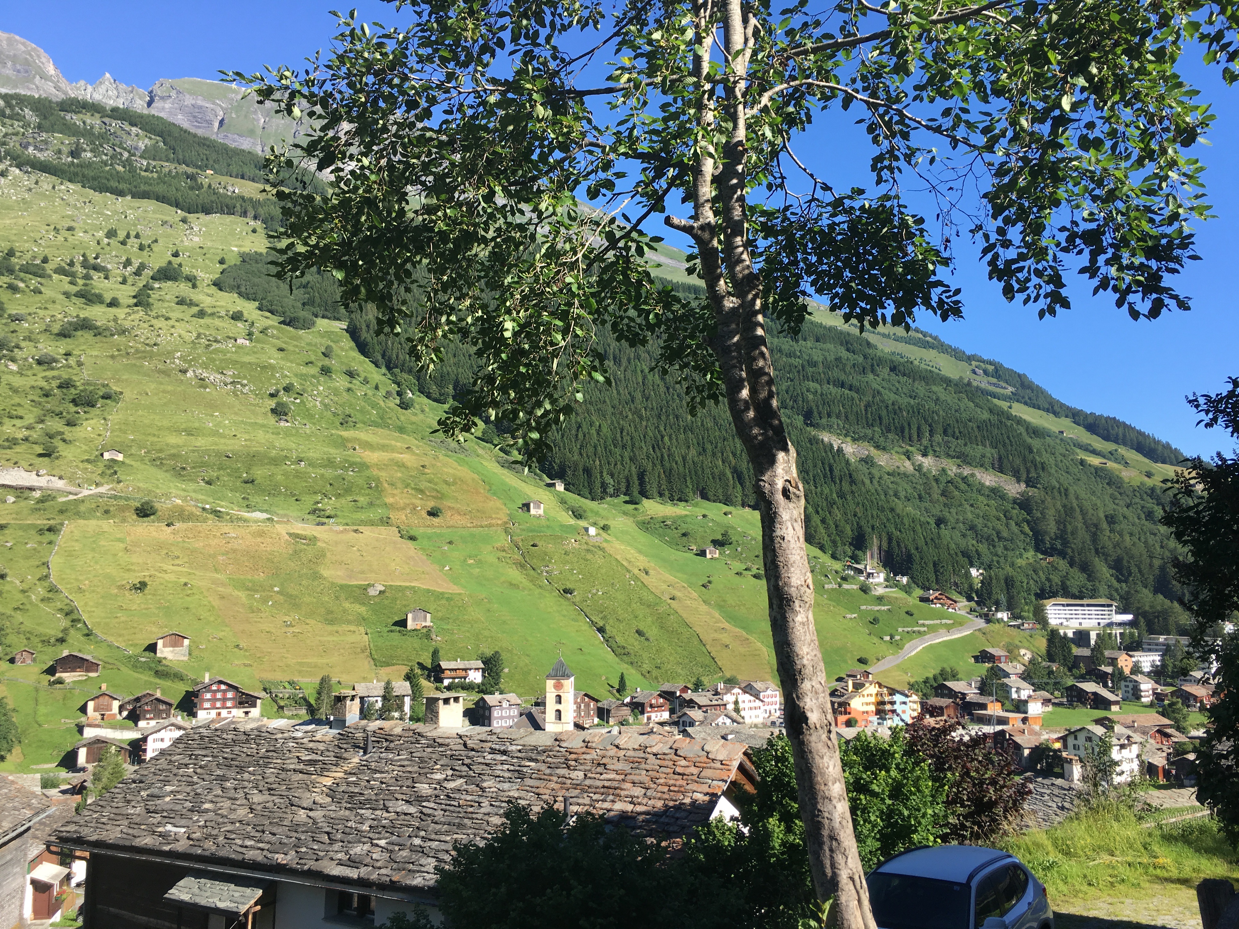 Die coolen Steindächer in Vals