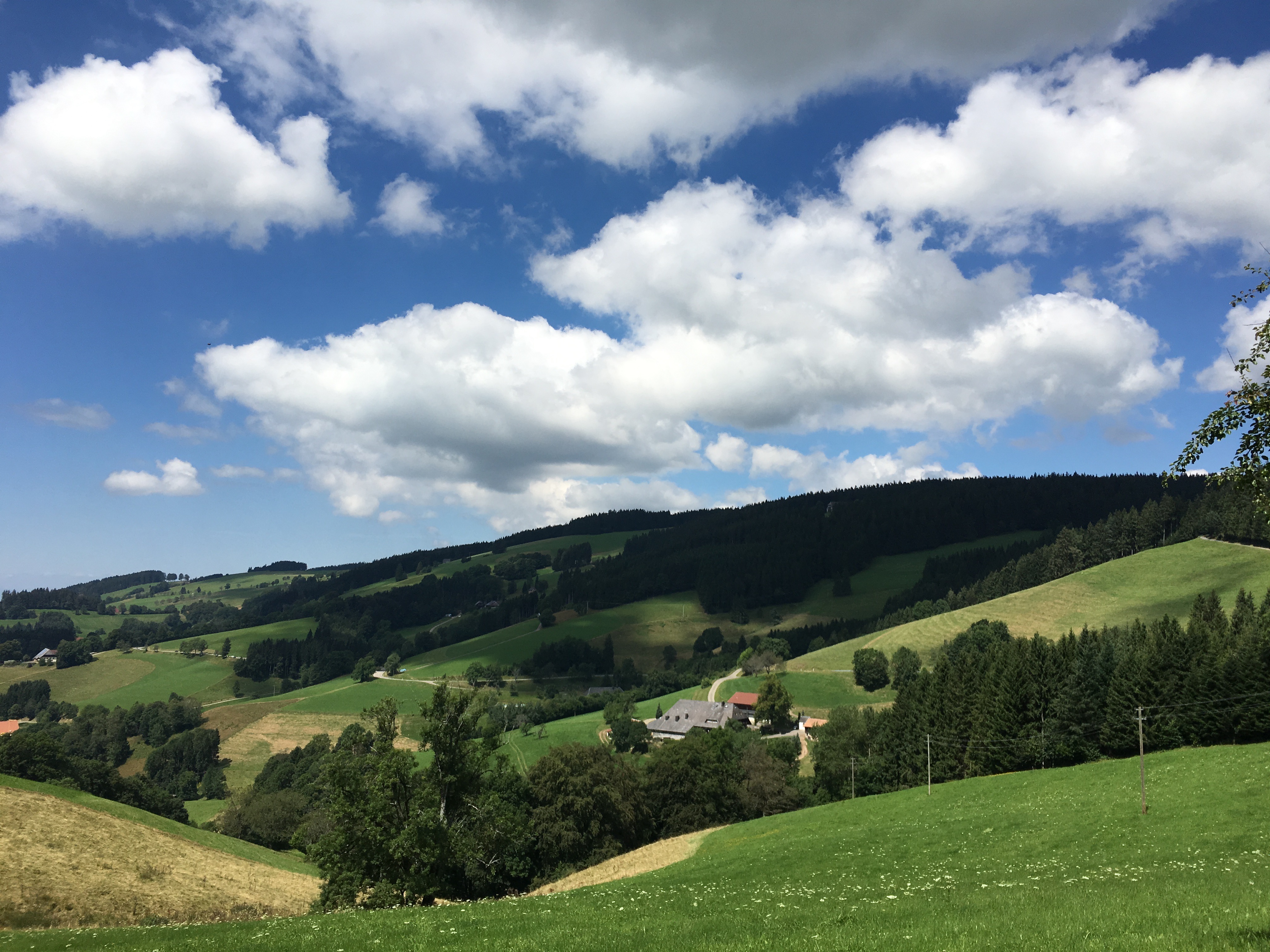 Schwarzwald Weekend 07.08.2016