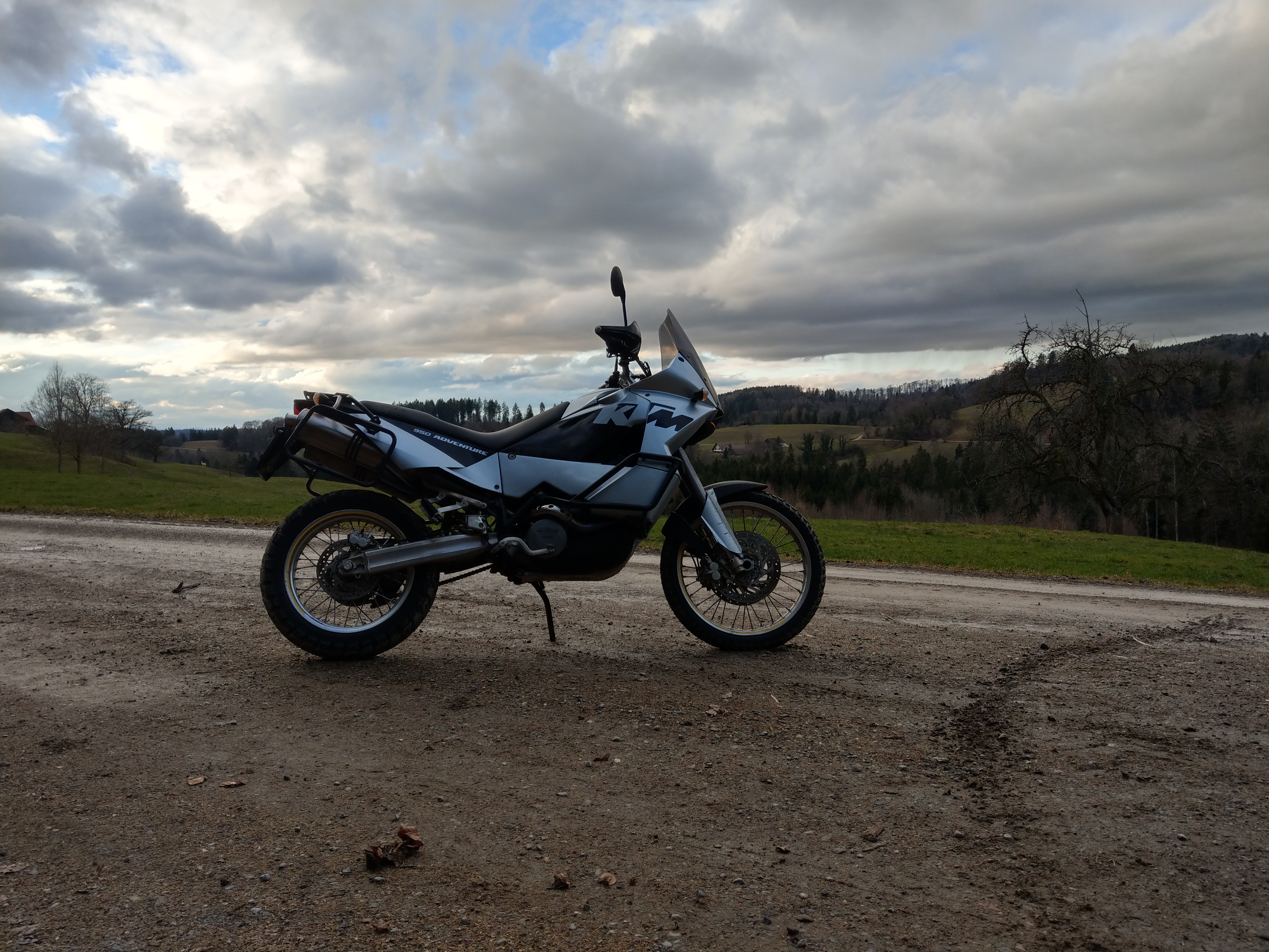 Der graue Fuchs passt perfekt zu den Wolken :D