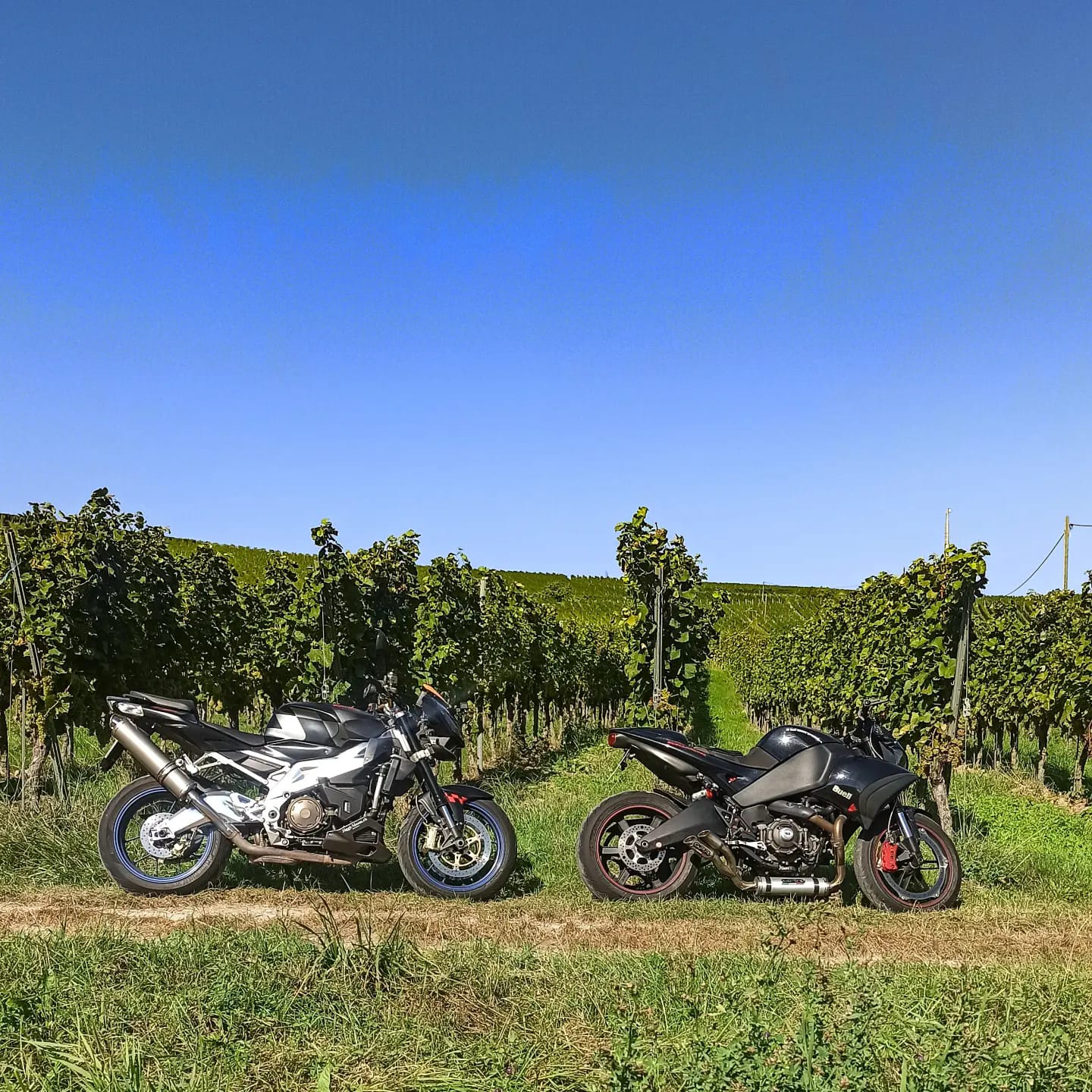 Tuono V2 & Buell 1125 CR